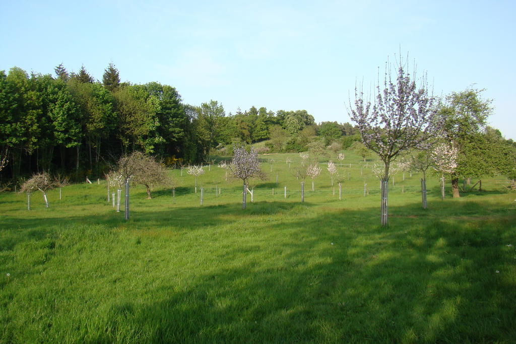 Gite De La Cour Campandré-Valcongrain Δωμάτιο φωτογραφία